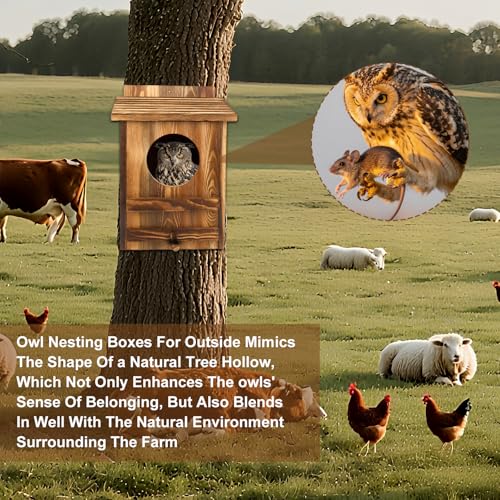 Owl Houses for Outdoors， 16.1x11.8x9.5 inch Large Carbonized Barred Owl Nesting Box, Waterproof & Ventilated Design, Ideal for Owls, Wildlife, Garden Decoration