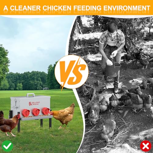 No-Waste Automatic Chicken Feeder, 30 lb Galvanized Metal Poultry Feeders with Adjustable Height, Locking Lid, Feeding Through, Feeder Box Stands for Chicks, Duck, (6 Ports)