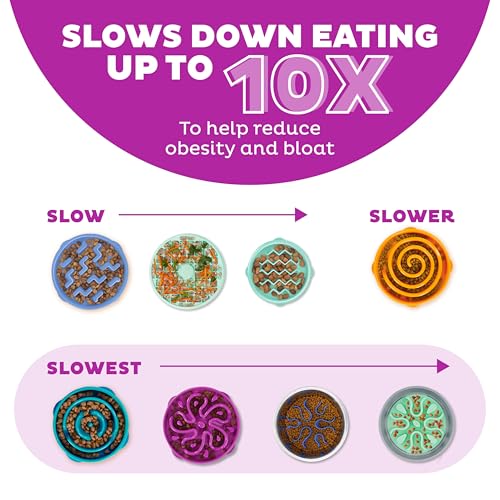 Outward Hound Fun Feeder Slo Bowl – Large 4‑Cup Capacity, Slow Feeding, Medium to Large Dogs, Non‑Slip, Purple, Flower Pattern - color: Purple, size: Large