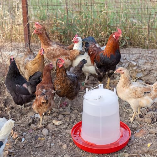 Pickmesh 2 Pcs 2 Gallon Plastic Poultry Drinker Poultry Waterer Automatic Chicken Water Feeder Fed Water Container Jar for Duck Baby Chicks Rabbit Turkeys Outdoor Farm - size: 2 Gallon