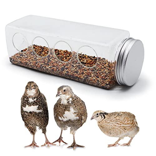 Button Quail Transparent Feeder Feed Box Seed Food Container (4 Holes)