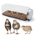 Button Quail Transparent Feeder Feed Box Seed Food Container (4 Holes)