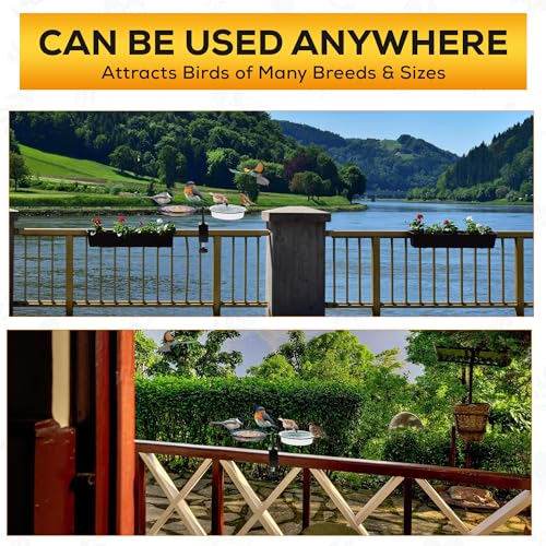 Bird Feeders for Outdoors - Forest & Twelfth Platform Bird Feeder Stand, Weather Proof Bird Water Feeder for Balcony Railing, 360° Rotation Standing Bird Feeder with Seed & Water Trays and Feed Scoop