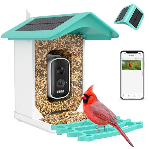 Smart Bird Feeder Camera (Dual Panel), Solar Powered, Identify 11,000+ Birds with AI, Auto Capture & Notify, 2K HD Footage, Outdoor Bird Watching, Ideal Gift for Birds Lovers. - color: Forest green