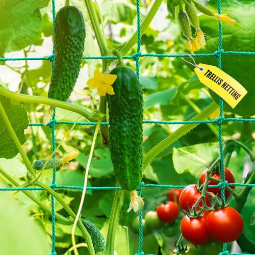 Trellis Netting for Climbing Plants, Cucumber/Tomato Garden Trellis Netting | Heavy Duty Garden Netting for Trellis for Climbing Plants Outdoor, Thickened Plant Grow Net for Vine, Fruits, Vegetables,Bean - size: 6.6x16.5 FT (27 Strands)