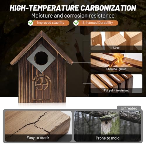 2-in-1 Window & Tree Hanging Bird House with Stainless Steel Rope | Dual Mounting Options, Clear Viewing Window, Openable Privacy Panel, Outdoor Birdhouse, For Bluebirds Finches Chickadees