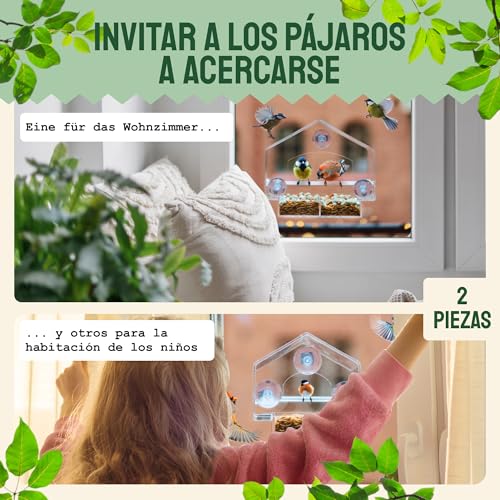 Hatortempt Window Bird Feeder - Set of 2, Clear Plastic - Squirrel-Proof Design with Strong Suction Cups - Wild Bird Feeders for Outdoors & Backyard Birding & Wildlife Viewing