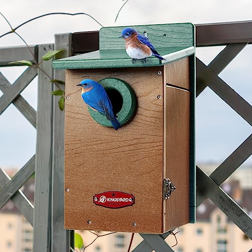 Kingyard Bluebird House, Outdoor Bird House with Predator Guard | Recycled poly lumber nesting box with a 1.5-inch entrance hole, clear viewing panel, bottom ventilation holes - color: Green