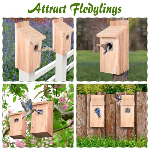 Dreyoo 2 Pack Bluebird Box Houses for Outside,1-1/2'' Entrance Hole Wooden Bird Houses with Metal Guard, Secure Latch,Fledgling Grooves,Air Vents for Bluebird Wren Swallow(Wood) - color: Wood