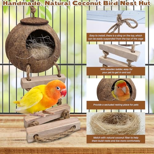 PINVNBY Coconut Bird Nest Hut with Ladder, Coconut Bird Hideout Lovebird House Hanging Toy for Budgies Parakeet Cockatiels Conure Canary Finch Pigeon (with Natural Coconut Fiber)