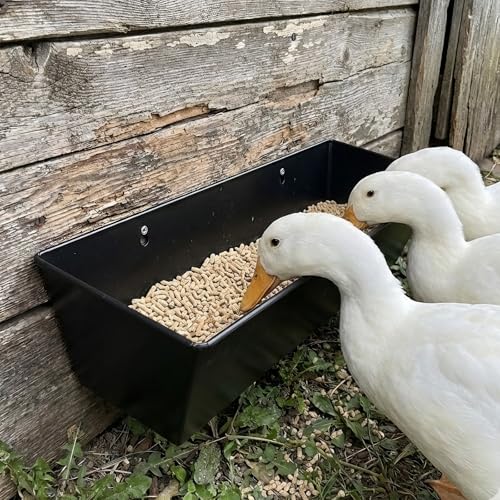 3-Pack 6 Qt Metal Hanging Feed Troughs for Goats, Ducks and Livestock | Rust-resistant iron, 4 drain holes with plugs, fence or wall mount hardware, for sheep, piglets, poultry and dry feed