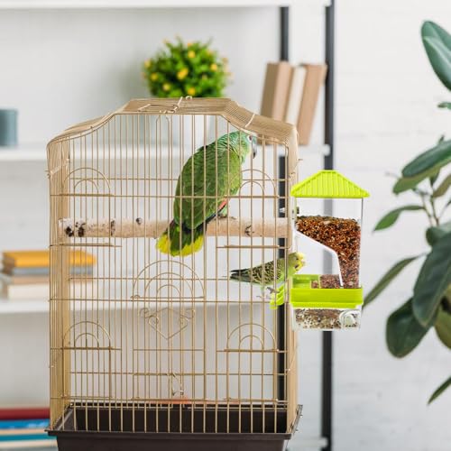 Rypet No-Mess Automatic Bird Feeder for Cage, Parrot Cage Accessories | Transparent Acrylic Food Dispenser, Helps Reduce Seed Scatter, for Parakeet Cockatiel Parrot Canary - color: Transparent A80 Green