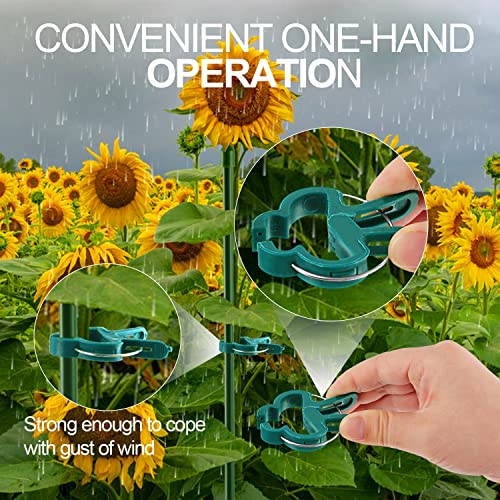 Yinghezu 40 Pcs Plant Support Clips,Tomato Plant Clips 2 Sizes in one Pack | Flower and Vine,Garden clips for Supporting Stems,Vines Grow Upright Climbing,Tool for Straightening,Tomato Cage,Trellis. - size: 40 PCS (20 small + 20 large)