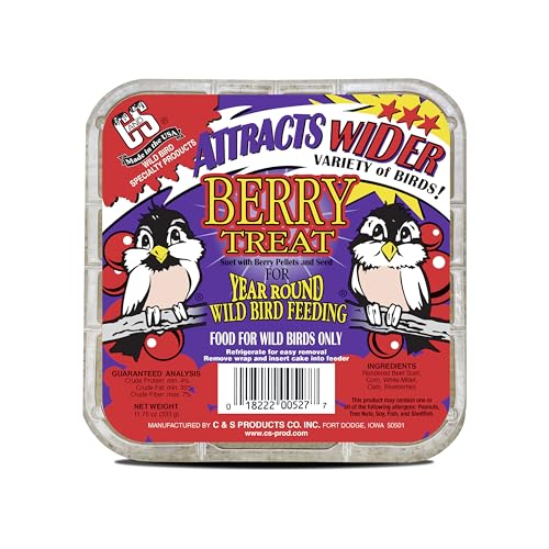 C&S Berry Suet Treat, Suet Cakes for Wild Birds, Pack of 8 | Suet cakes for woodpeckers, made with real berries, use in a suet feeder year-round - style: Berry, 8 Pack