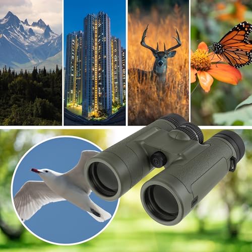 Bushnell R3 Binoculars with Vault Lite Bino Chest Harness, HD Optical System, Fully Multi-Coated Lenses, EXO Barrier, IPX7 Waterproof - Binoculars for Bird Watching and Wildlife Observation - style: 10x42 Binoculars