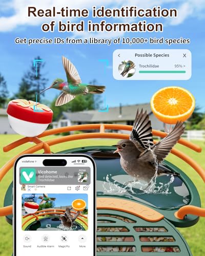 Bird Feeder with Camera, AI Recognition, Bird Bath, Solar Powered | Identify birds with AI, capture sharp 2K video, enjoy solar charging, bird bath design and instant smart app alerts. - color: Green, size: With BirdBath