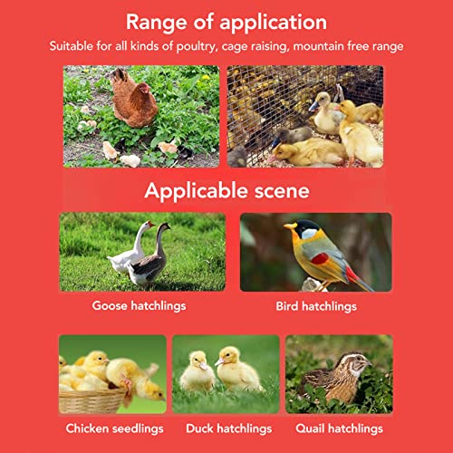 Chick Feeder and Waterer Kit, Mini Chicken Feeder and Waterer, Rotary Sleeve Design Automatic Feeding and Watering Combo for Baby Turkey, Guinea Fowl, Quail and Pigeons, 3.6x4.0in