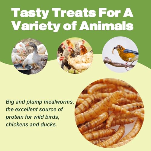 5LB Dried Mealworms for Chickens, Laying Hens, Ducks & Wild Birds | 100% Natural Non-GMO Whole Mealworms, Supports Feather Health & Molting, Resealable Bulk Bag for Daily Flock Feeding