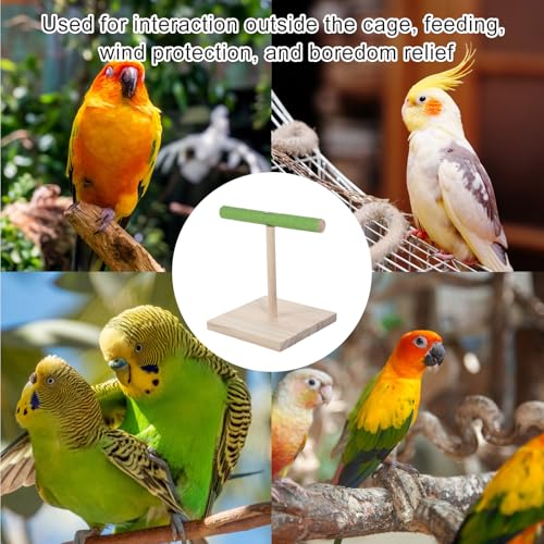 Bird Training Stand, Rough Surfaced Quartz Bird Perches | for Paw Grinding Clean Stick Exercise, Portable Tabletop Surfaced Parrot Parakeet Perches for Conure Macaws