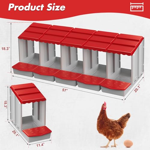 5 Hole Chicken Nesting Box with Rolling Egg Collection Design | Rolling Egg Collection & Protection Nesting Boxes, Avoid Broken Eggs, Ideal for Coops, Backyard & Family Chicken Raising ﻿ - size: 5 Compartment