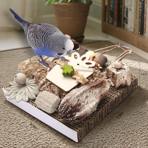 Kyouki Bird Toys, Parakeet Toys, Parrot Toy, Conure Hanging Chewable Cardboard Foraging Suitable for Budgies, Cockatiels, Lovebirds, Sun Conures - and Other Small/Medium Parrots (Medium) - size: Medium