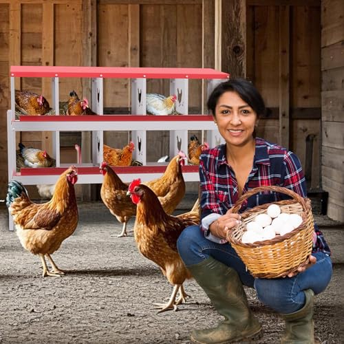 Galvanized Steel Chicken Nesting Box Set, 10-Compartment with Frame, Heavy-Duty Metal Egg Laying Station for Poultry Coop, Easy Clean Hens Nest with Vented Perforations - size: 10 Holes with Legs