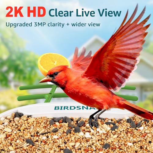 birdsnap® TUC Bird Feeder with Camera Solar Powered 2K Video with 32GB Card | AI Bird Species Identification, Squirrel-Proof, IP65 Waterproof, Outdoor Wireless, 2.4G WiFi, Gift for Mom Dad Bird Lovers - color: Green