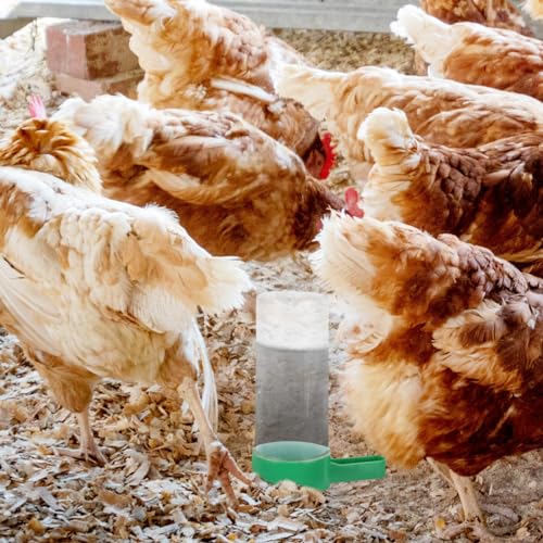 SUPVOX Automatic Poultry Feeder and Waterer for Chicks and Quail - Space-Saving Easy to Clean Plastic Feeder and Drinker 4.5 X 3.2 X 1.6 Inches