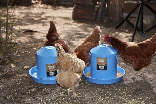 Double-Tuf® Painted Hanging Galvanized Poultry Feeder | Automatic Poultry Feeder | Easy to Use | Durable, Weatherproof and Lightweight | 17 lbs