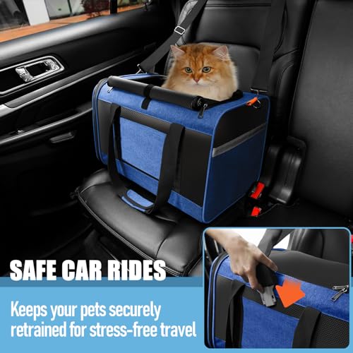 GAPZER Large Cat Carrier Soft, Collapsible Travel Pet Carry Bag, Small Dogs | Large Kitty Cat 20 lbs Maine Coon, Top Load Transport Small Puppy Dog Kennel, Yorkie Little Dog 10lbs, Sturdy Fabric Blue - color: Blue