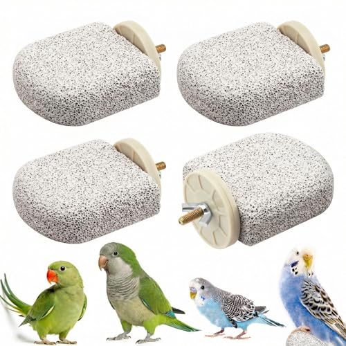 4 Pcs Lava Ledge Bird Perch Platform Set for Cages | Fits Small/Medium Parrots (Budgies, Conures) | Volcanic Calcium Stone for Beak Grinding & Claw Trimming | Tool-Free Mount