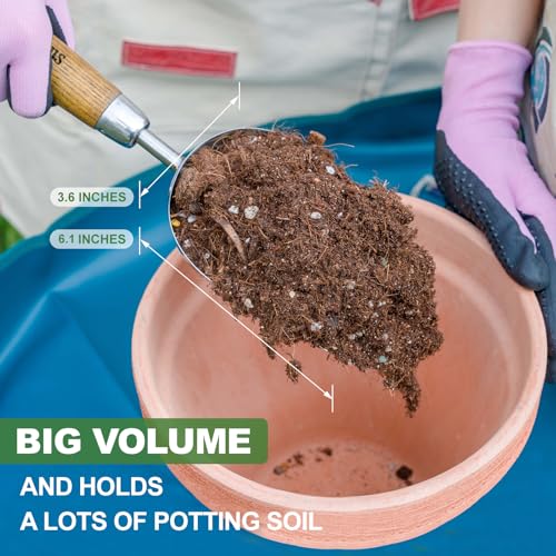 Haliaeetus Potting Soil Scoop, Bend Proof Stainless Steel Gardening Scoop | 1 Cup Big Volume Garden Soil Scoop, Comfortable Wood Handle Soil Scoop for Transplanting, Cultivation,Composting and Planting