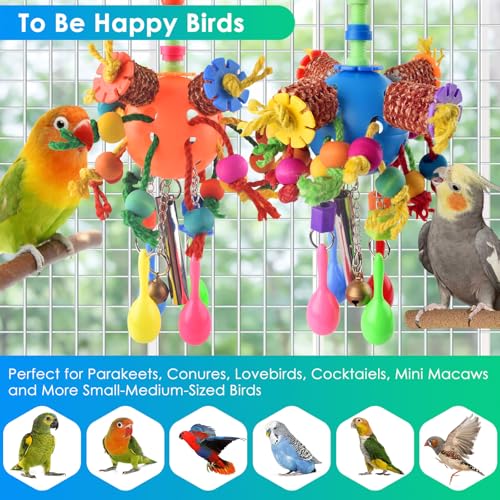 KATUMO Bird Toys, 2PCS Parakeet Foraging Shredder Hanging Toys with Sola Balls Sand Hammer, Parrot Ball Treats for Conure Mini Macaw Cockatiel Lovebird Small-Medium Birds - style: Orange+Blue