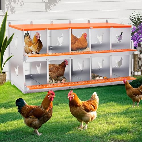 10 Compartment Galvanized Steel Nesting Box Wall Mount | Galvanized Steel Rustproof & Weather Resistant|Vented Design Keeps Interior Dry & Odor Free|Tool-Free Assembly - size: 53.0"L x 17.0"W x 25.0"H