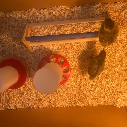 HOZEON 2PCS Wooden Chicken Roosting Bars, Purple Chick Perch Stand for Training, Roosting Bar Perch for Parrot and Birds