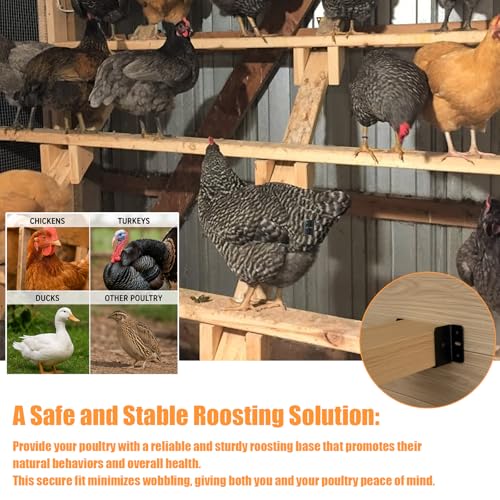4Pcs Heavy Duty Poultry Roost Bar Mount Brackets, Metal Chicken Coop Roost Brackets for Chickens, Turkeys & Other Poultry, Stable Roosting Bars for Chickens in Coop with Screws（2x4in）