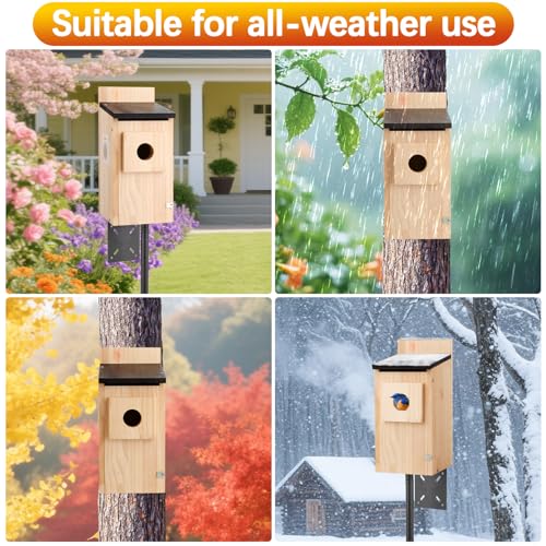 Birdhouse, Bird Houses for Outside, Weatherproof Bird House for Outdoors Cedar Bluebird House with Natural Wooden, Sturdy Nest Box for Chickadees, Titmice, Cardinals, Wrens