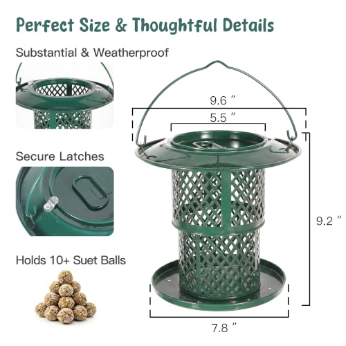 KOL Metal Suet Ball Feeder for Birds – Single-Layer Expandable Design Suet Bird Feeder, Heavy-Duty Wild Bird Feeder with Secure Lid, Large Capacity for Backyard (Jasper) - color: Jasper