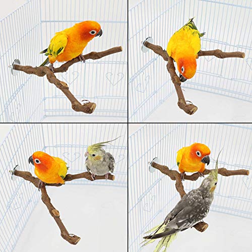 PINVNBY Natural Parrot Perch Bird Stand Pole Wild Grape Stick Paw Grinding Fork Parakeet Climbing Standing Branches Toy Chewable Cage Accessories for Small Lovebirds Budgies Cockatiels 2PCS - size: 9.8in