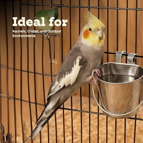 1 quart Stainless Steel Flat Sided Bucket with Dual Hooks | 0.25 gal Durable Food & Water Bowl for Dog Cat Bird & Small Animals | Fits kennel Cage Critter Crate | Hanging Utility Pet Pail - size: 1 Quart