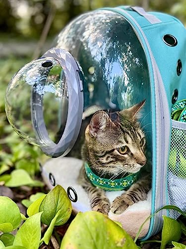 Pet Carrier Backpack for Kitten, Small Puppy and Bunny, Backpack for Kitten, Space Capsule Bubble Cat Backpack Carrier, Airline Approved Waterproof Green Pet Backpack for Small Dog (Pink) - color: Pink