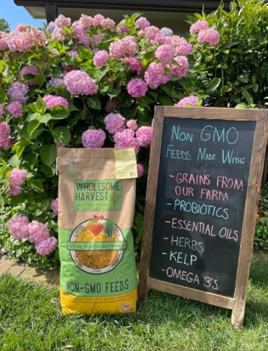 Corn & Soy-Free Chick Starter Feed - All Grain & Non-GMO Chick Food Starter with Omega 3 - Chicken Feed for Growing Healthy Chicks with High-Protein 22% and Probiotics - 40 Lb - size: 40 Pound (Pack of 1)
