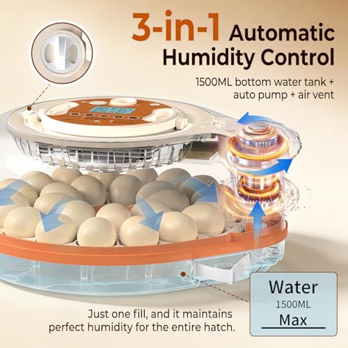 Incubators for Hatching Eggs with Smart Voice Assistant, 26 Eggs Incubator with Automatic Egg Turner and Humidity Control, LED Egg Candler, Incubation Days Display, for Chicken, Duck, Goose, Bird Eggs - size: 26 Chicken Eggs with Voice Assistant