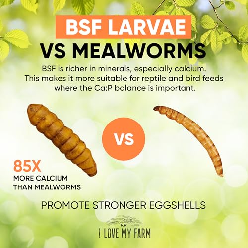 10 lb Dried Black Soldier Fly Larvae, High Protein Poultry Treat BSF | Naturally rich in protein and calcium for chickens, ducks, poultry, wild birds and reptiles