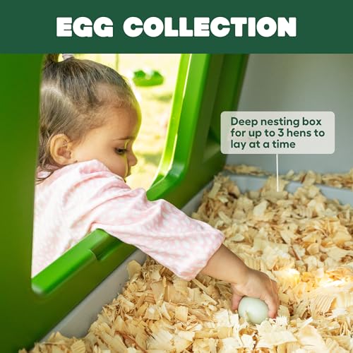 Omlet Eglu Cube Large Chicken Coop | Easy to Clean Plastic Chicken Tractor | The Most Secure Hen House for Complete Peace of Mind | Weatherproof Cool in Summer and Warm in Winter | Green