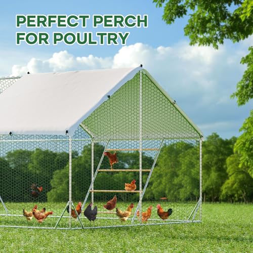 Chicken Roosting Perch for Chickens in Coop,Chickens Roosting Ladder Cock Coop Toys, Suitable for Chicken Run,Backyard Poultry, Farm Roost Toys for Hen Easy Installation 56" L x 40" W