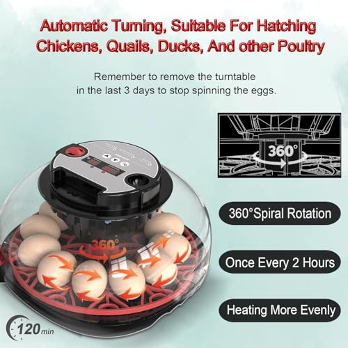 12 Egg Incubator with Auto Turner, Built-in Candler & Humidity Display | Suitable for Hatching Chicken Duck Quail Bird - size: 12 Egg