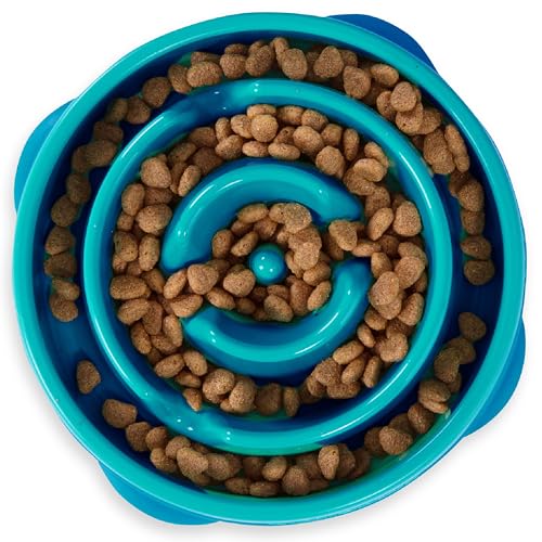 Outward Hound Fun Feeder Slo Bowl – Medium 2‑Cup Capacity, Slow Feeding, Small to Medium Dogs & Cats, Non-Slip, Turquoise, Drop Pattern - color: Turquoise, size: Medium