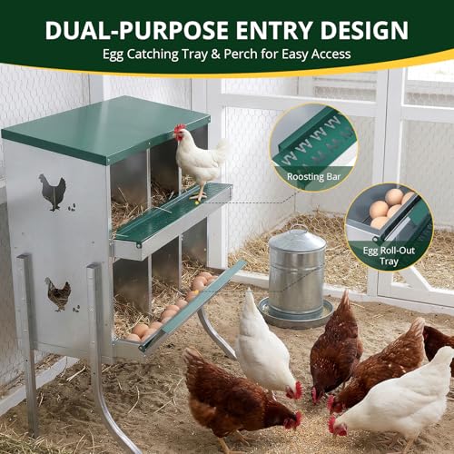 6-Compartment Roll Away Chicken Nesting Box with Legs,Lid & Perch | Pre-installed nuts, Fast assembly, galvanized steel, rounded edges, sunshade cloth + vents, wall mount or floor use