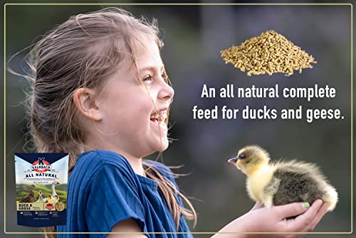 Kalmbach Feeds 18% All Natural Duck and Goose Feed Mini Pellet, 10 lb Bag